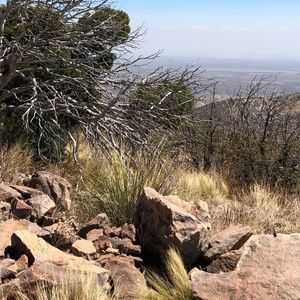 Meet your Posher, TexBig